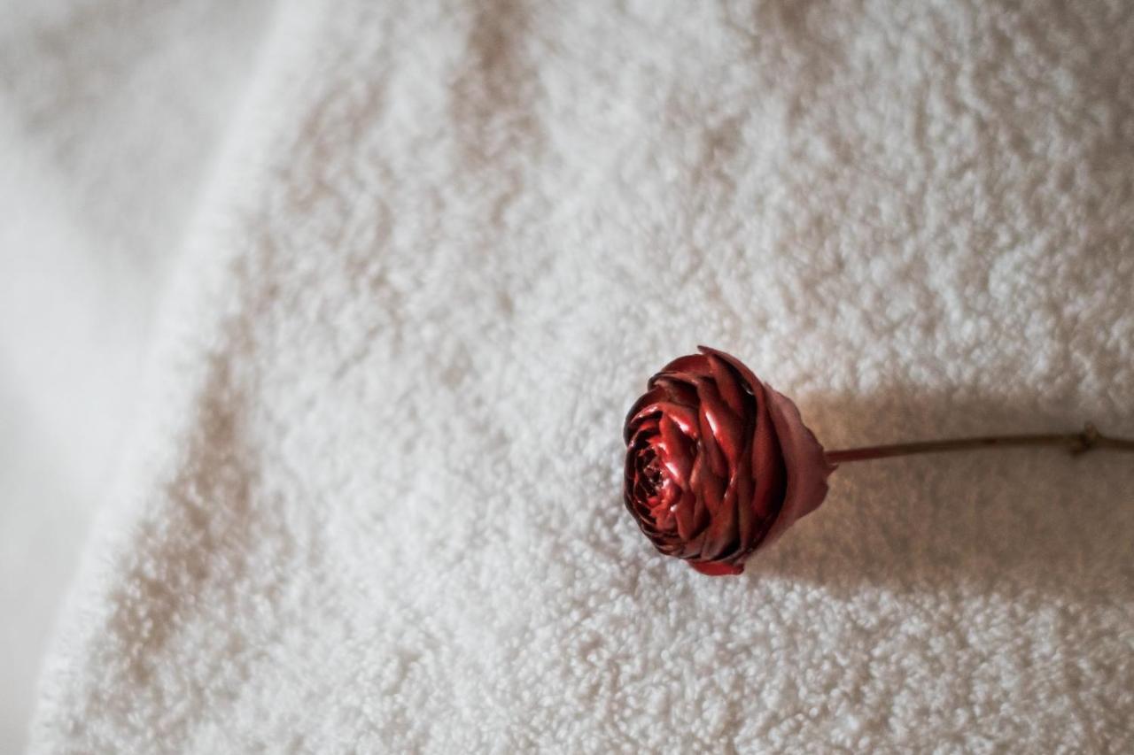 Dimora Delle Muse Bed & Breakfast Montalcino Bagian luar foto